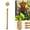 A-2A, variant on MMJ Plant Support Stakes Copper Antenna Coil 13.19in Training Pile Garden Climbing Vine Horticultural Tool 1 3 6 Pack