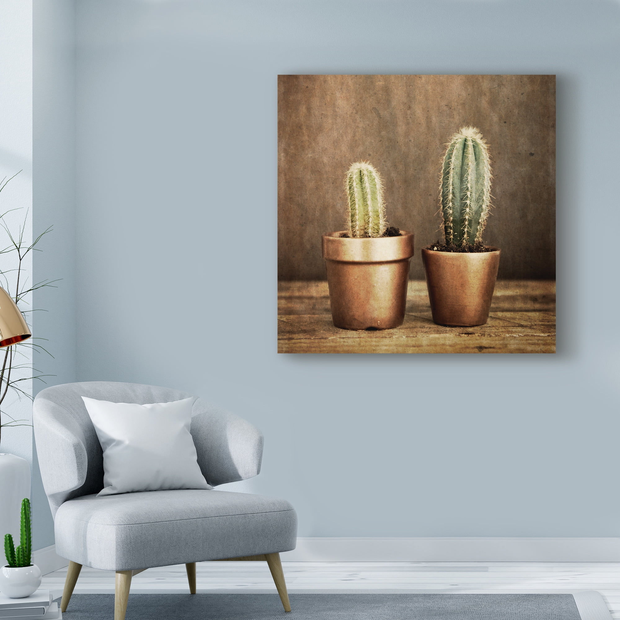 Trademark Fine Art '2 Cacti On Brown Texture' Canvas Art by Tom Quartermaine