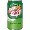 thumbnail image 4 of Canada Dry Ginger Ale Soda, Allergens Free,20 Pack, 8 fl oz Mini Aluminum Cans, Allergens Not Contained, 4 of 4