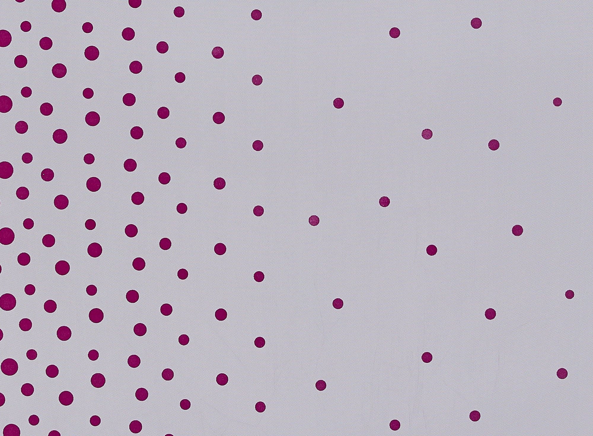 Zelouf Single Border Color Felt Dot On Tulle  , Sewing, DIY, Crafts Fabric by the Yard, Black/fuchsia, 3 Yard