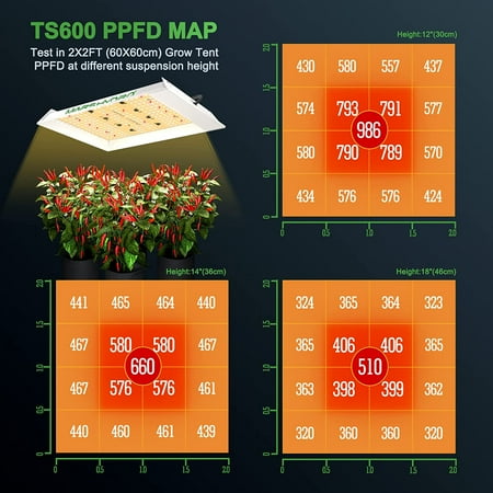 TS600 100W LED Grow Light for Indoor Plants, 2x2ft Grow Tent