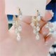 thumbnail image 3 of Censtreet Long Shape Fringed Crystal Earrings Water Drop Shape Hypoallergenic Dangle Earrings Jewelry For Women Ladies Fashion Earrings, 3 of 5