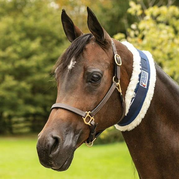 Dura-Tech Sure-Fit Fleece Throat Horse Wrap | Secure & Comfortable Fit | Standard