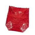 thumbnail image 1 of WZXFASHION New Women's Plus Size Sexy Transparent Seductive Lace High-Waist Panties Intimates Red M, 1 of 5