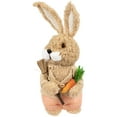 thumbnail image 5 of Northlight Plush Boy Easter Rabbit Figurine with Carrots - 11", 5 of 6