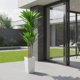 thumbnail image 3 of Yeshouse Planta artificial de banano artificial, planta tropical perenne en maceta con macetero blanco alto para sala de estar, entrada, porche u oficina, 3 of 7