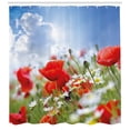 thumbnail image 3 of Ambesonne Country Shower Curtain, Spring Meadow, 69"Wx84"L, Multicolor, 3 of 3