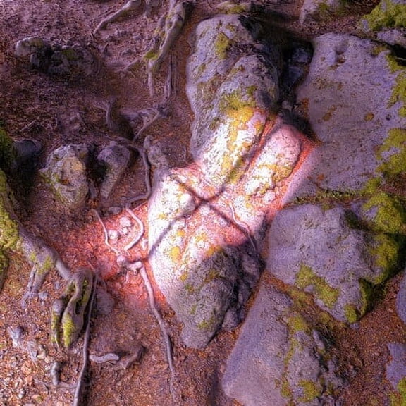 James Rushford - Lake From The Louvers - Music & Performance - Vinyl