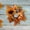 Orange, variant on 3-in-1 Holiday Candle Garland - Pumpkin & Sunflower Centerpiece for Halloween/Thanksgiving (LED-Compatible Decor)
