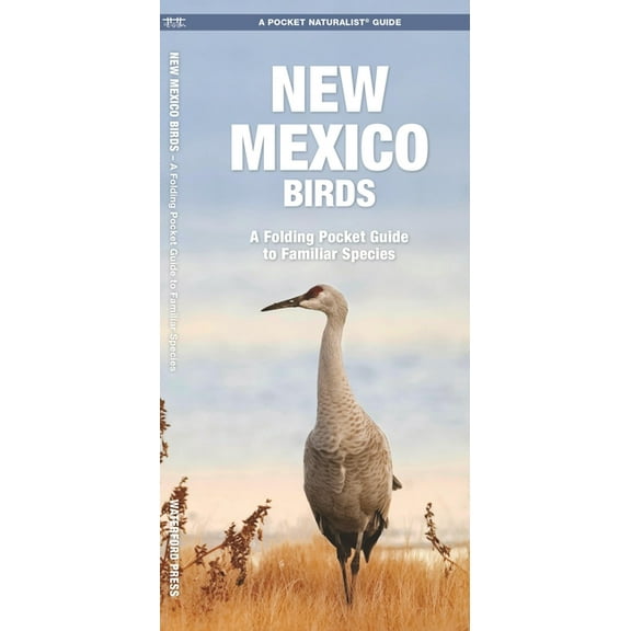 Nature Observation North America: New Mexico Birds (Other)