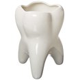 thumbnail image 1 of Practicon 9072710 Recipiente con forma de muela, 1 of 3