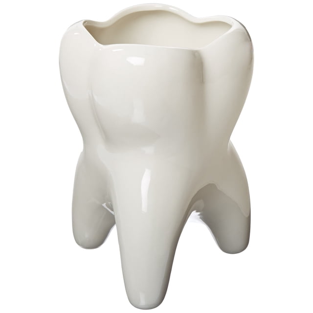 Practicon 9072710 Recipiente con forma de muela