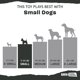 thumbnail image 4 of Juguetes Perfumados BarkBox Chopper Goma y Nailon Super Masticables para Perros y Cachorros, 4 of 8