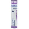 Boiron Lycopodium Clavatum 1M, Homeopathic Medicine for Bloated Abdomen Improved By Passing Gas, 80 Pellets