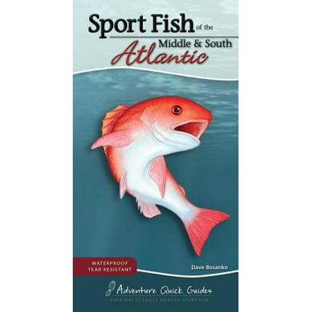 Sport Fish of the Middle & South Atlantic : Including Delaware, Georgia, Maryland, North Carolina, South Carolina, and (Best Places To Fish In Maryland)