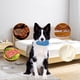 thumbnail image 1 of Fiudx Ofertas relámpago El juguete interactivo para masticar mascotas para perros y gatos fomenta el juego y el cuidado bucal con un diseño robusto adecuado para uso en interiores, 1 of 6
