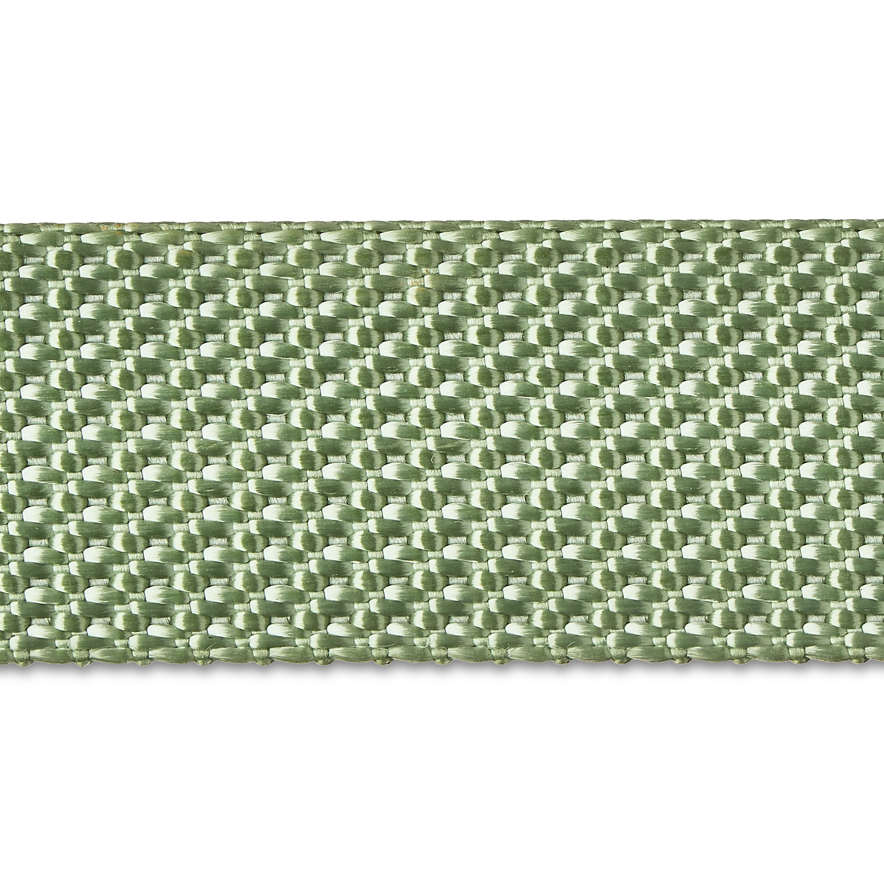 Vibrant Life Neoprene Cushioned Dog Leash, Sage Green, 6 ft, M/L