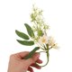 thumbnail image 5 of unbranded 6Ud Servilletas Con Flores Realistas Para Ambientar Fiestas De Té Y Banquetes, 5 of 6