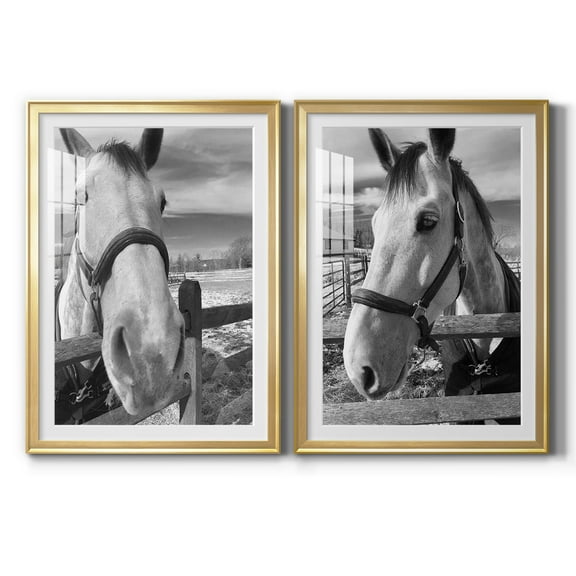 Wexford Home Caen Premium Framed Print, 30.5" x 42.5" - Ready to Hang, Gold (Set of 2)