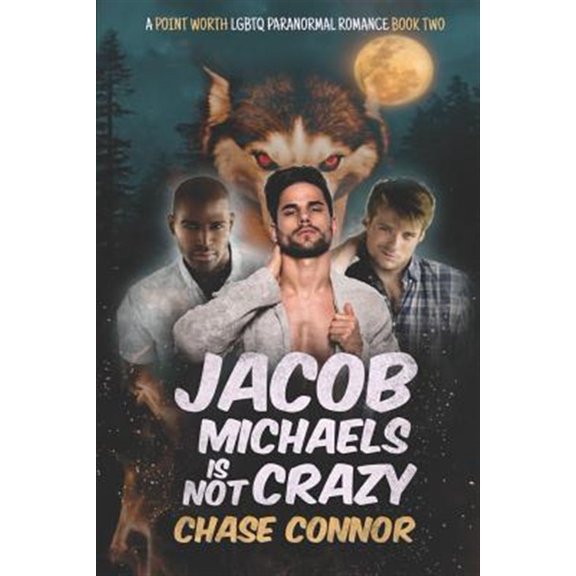 Pre-Owned Point Worth Lgbtq Paranormal Romance Jacob Michaels Is Not Crazy (A Point Worth LGBTQ Paranormal Romance Book 2), Book 2, (Paperback)
