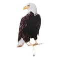 thumbnail image 7 of Realistic Owl Decoy w/Sound Keep Birds AwayOutdoor Bird Garden Scare U1R5, 7 of 7