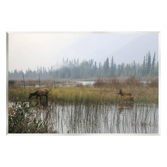 Animals Grazing Creek Landscape Landscape Photograph Unframed Art Print Wall Art