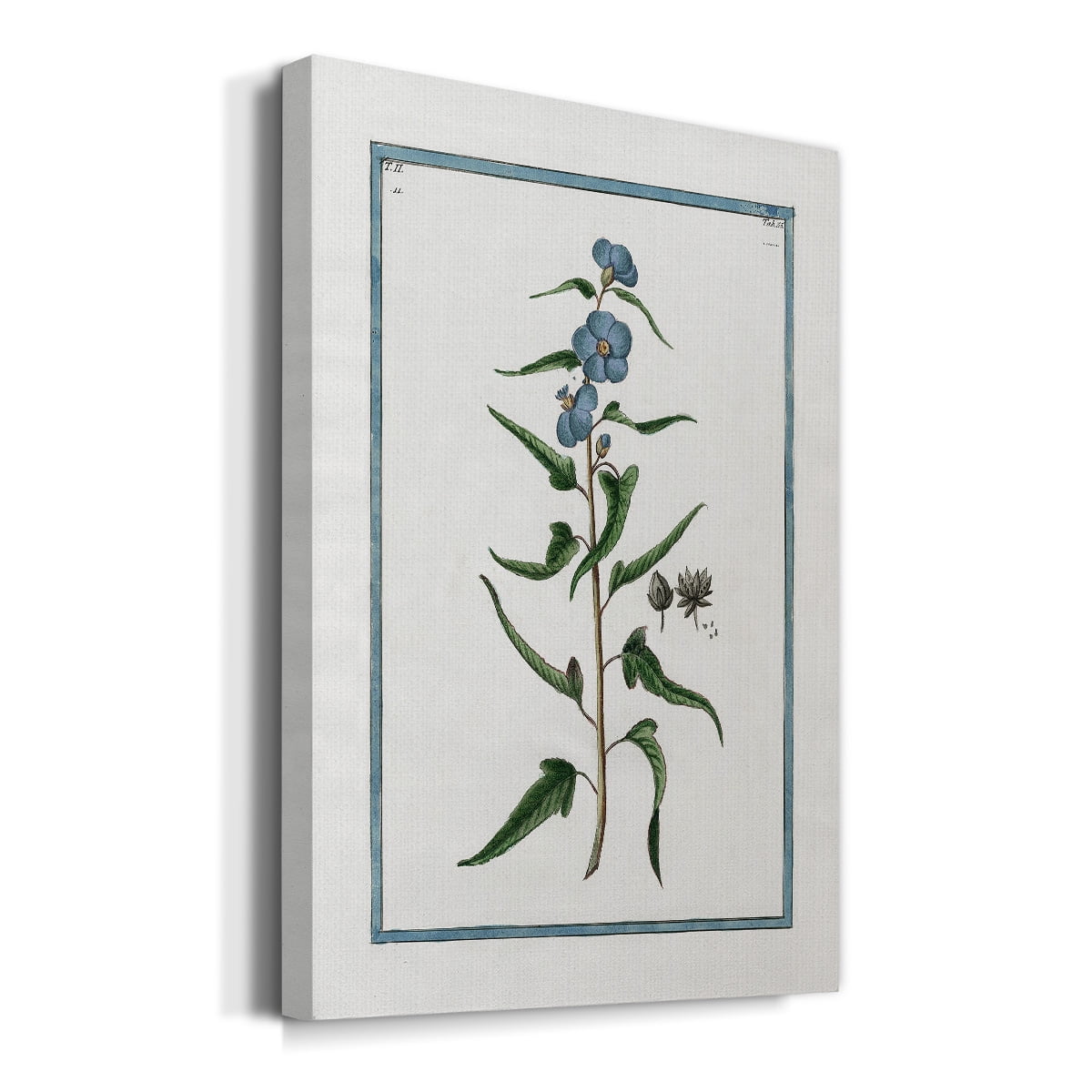 Shabby Chic Botanical I Premium Gallery Wrapped Canvas - Ready to Hang