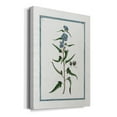 thumbnail image 2 of Shabby Chic Botanical I Premium Gallery Wrapped Canvas - Ready to Hang, 2 of 9