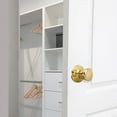 thumbnail image 4 of Design House Tulip Passage Interior Hall and Closet Door Knob, Polished Brass, 4 of 12