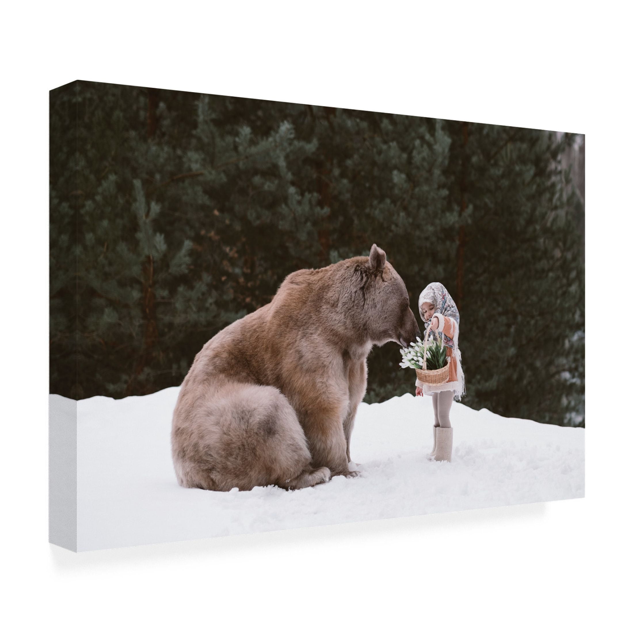 Canvas Wall Art - Olga Barantseva 'Bear Companion' Wall Art for Living Room, Bedroom, or Office Décor by Trademark Fine Art - 19 x 12 Inches