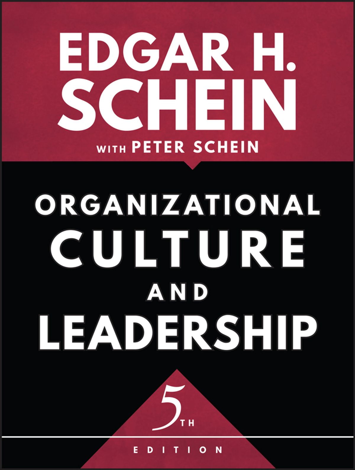Organizational Culture and Leadership eBook