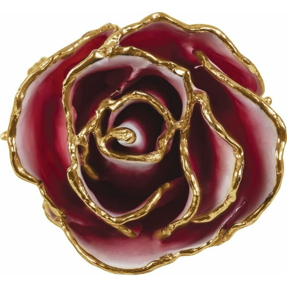 24k Gold Dipped White & Red Lacquer Real Rose Valentine's Day Holiday Gift