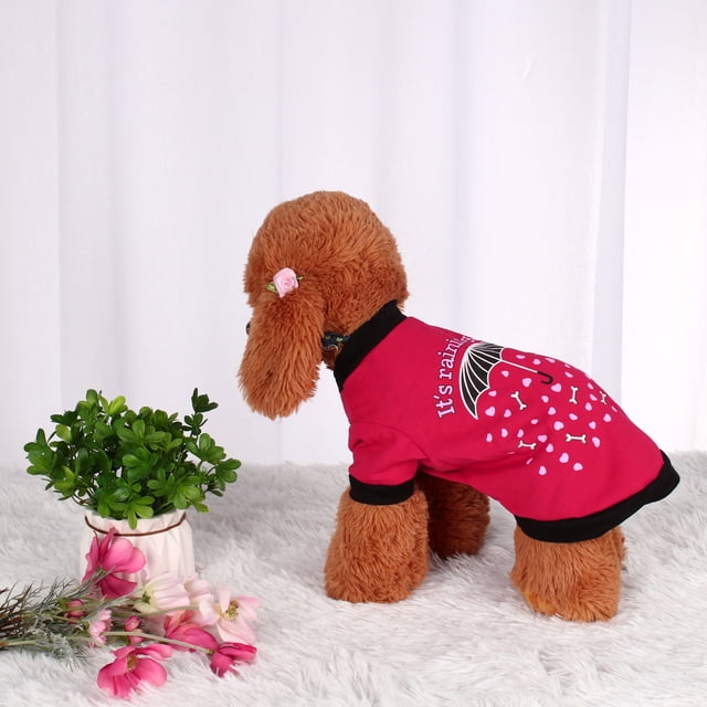 Camiseta para mascotas, ropa para cachorros, ropa para gatos, chaleco, disfraces, #1, M