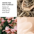 thumbnail image 3 of Perfume Elizabeth Arden White Tea Eau Florale EDT 30 ml Mujer, 3 of 5