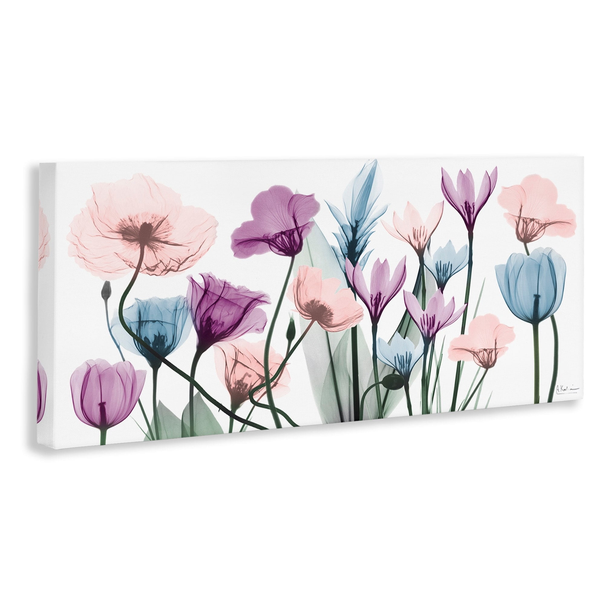 Stupell Industries Modern Translucent Pastel Tulips Flower Buds Blossoms Canvas Wall Art, 30 x 13, Design by Albert Koetsier