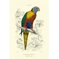 thumbnail image 2 of Lizars, W.H. 13x18 Black Ornate Wood Framed with Double Matting Museum Art Print Titled - The Naturalists Library III, 2 of 4