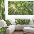 thumbnail image 1 of Design Art - Sommets de Bambou dans la Forêt de Kyoto, 1 of 3