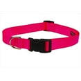 thumbnail image 1 of Nylon Webbing Dog Collar, Neon Pink - Small, 1 of 1