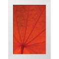 thumbnail image 3 of Vitaly Geyman 13x18 White Modern Wood Framed Wall Art Titled - Leaf Romance I, 3 of 5
