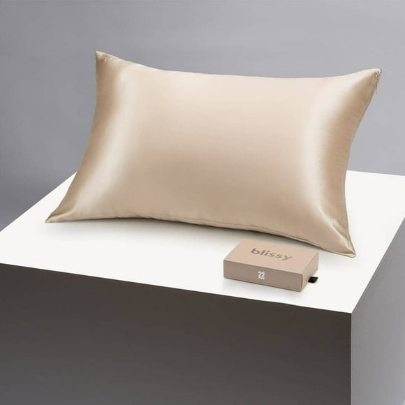 BLISSY Silk Pillowcase - 100% Pure Mulberry Silk - 22 Momme 6A High-Grade Fibers - Satin Pillow Cover for Hair & Skin - Standard Size with Hidden Zipper, Champagne
