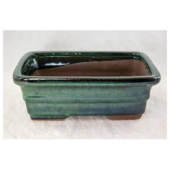 Rectangular Cactus & Pot with Mesh 8x 6x 2.75 - Green Stain Glazed