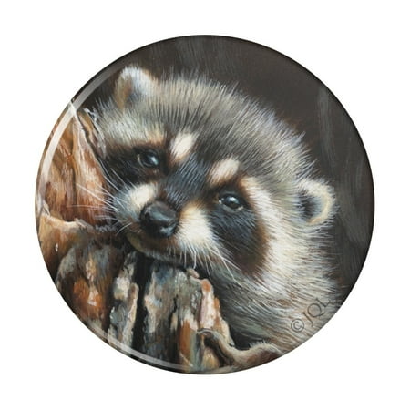 

Lazy Daydreaming Raccoon in Tree Kitchen Refrigerator Locker Button Magnet