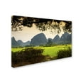thumbnail image 2 of Trademark Fine Art "Natural Dreams" Canvas Art by Philippe Hugonnard, 2 of 3