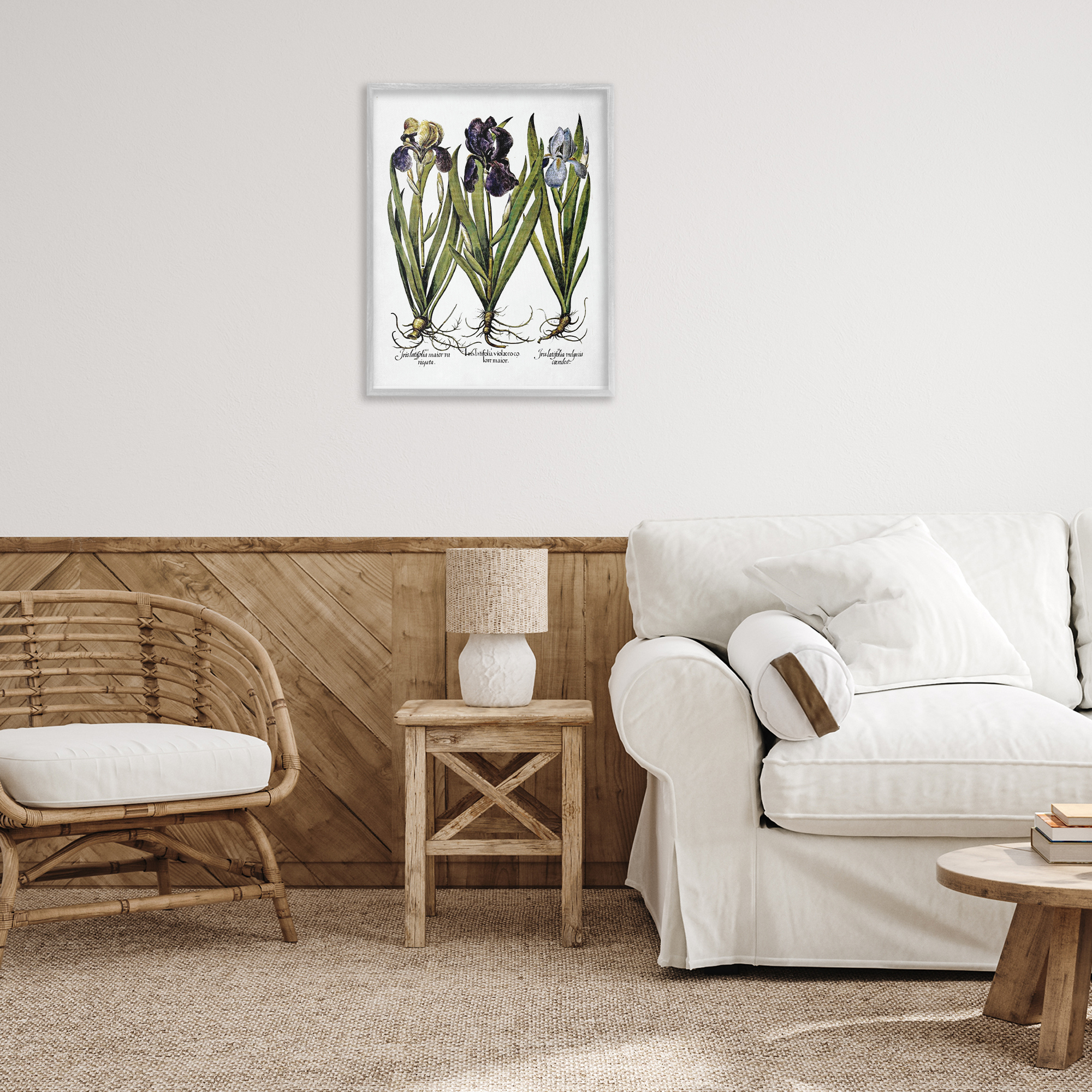 Stupell Industries Vintage Iris Studies Botanical & Floral Painting Gray Framed Art Print Wall Art, 24 x 30
