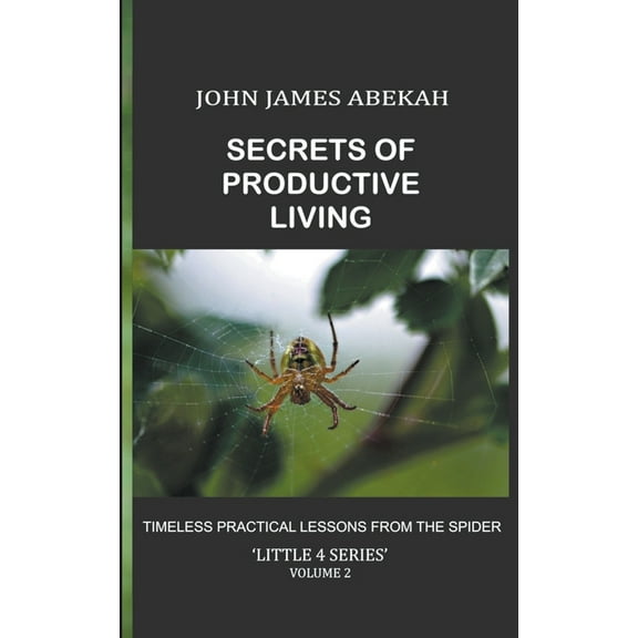 Little 4 Secrets of Productive Living: Spiders, Book 2, (Paperback)
