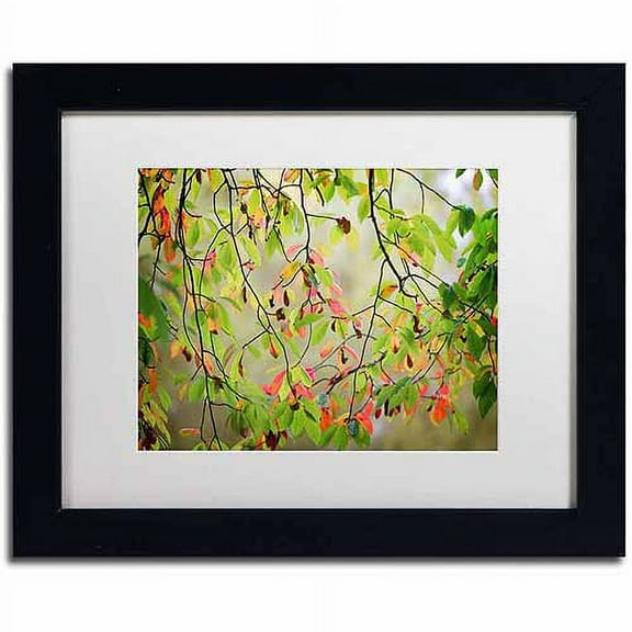 Trademark Fine Art "Leaves in the Wind" Canvas Art by Philippe Sainte-Laudy, White Matte, Black Frame
