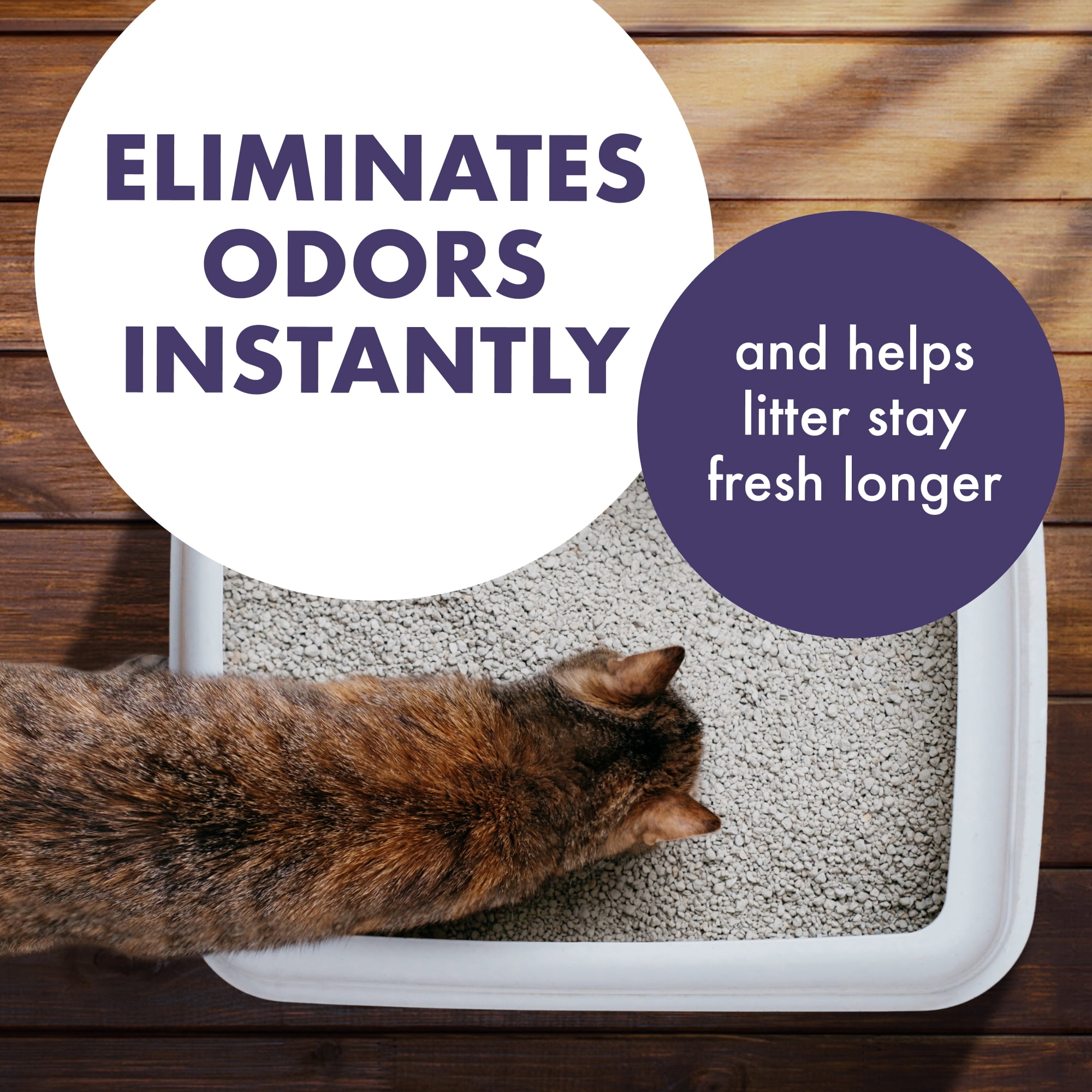 (2 pack) ARM & HAMMER Forever Fresh Cat Litter Deodorizer, Pet-Friendly Lavender Scent, 42.6 oz