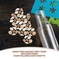 thumbnail image 2 of 1 caja de mini conchas marinas naturales, conchas de almeja para manualidades, conchas marinas decorativas, adornos de conchas naturales para decoraciones de acuarios y rellenos de jarrones, 2 of 7