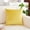 C, variant on Velvet Throw Pillow 17.7x17.7 Inch – Soft Lumbar Support Cushion,Soft Square Cream Throw Pillows for Sofa, Chair, Bed – Home Decor & Back Relief,Farmhouse Home Decor,Multi-color Choice
