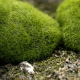 thumbnail image 5 of Moss Balls for Fish Tank on Sale Barhoo Moss Rocks Simulation Diy Artificial Decorative Stone Green Moss Home Decor Moss Stone Flocked Stone Clearance 1Pc Moss Stone Flocking Stone, 5 of 8